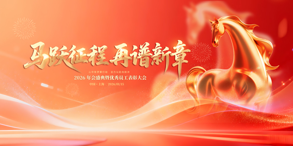 �R�S�������չ��