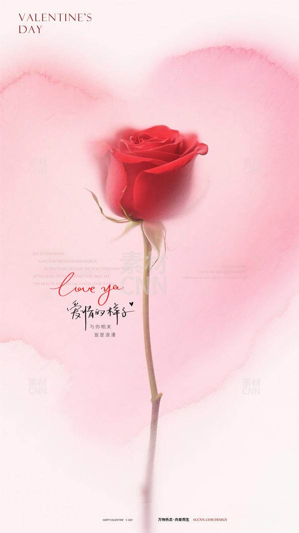 õ�����˹�(ji��)����(b��o)