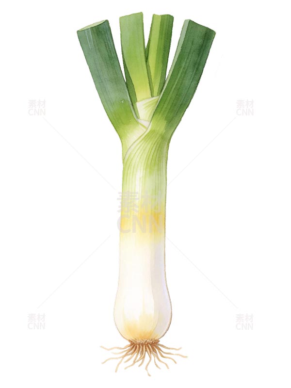 ˮ�ʴ��[�j�،�