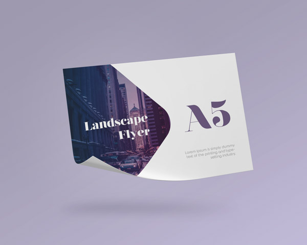 A5����Ư����������