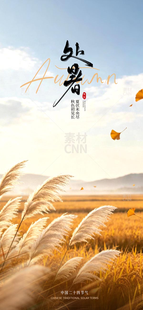 ����«έ�羰����