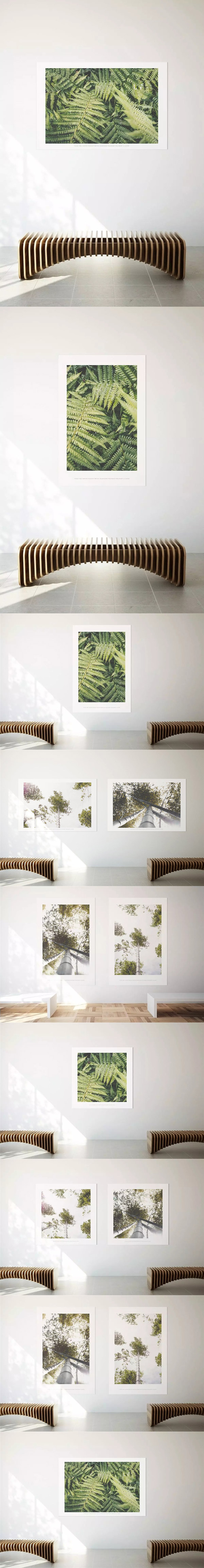 ����������չ������