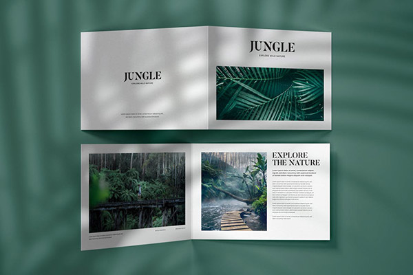 ˫��ҳС��������