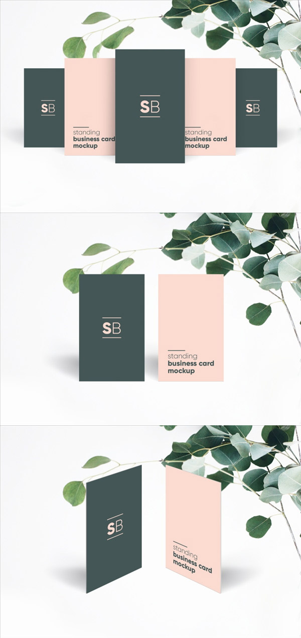 Ҷ�ӳ�����Ƭ����