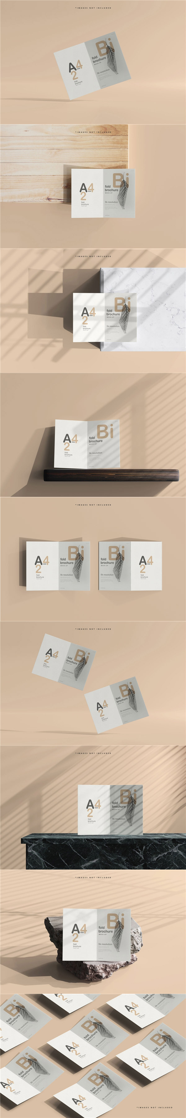 ����ҳС��������