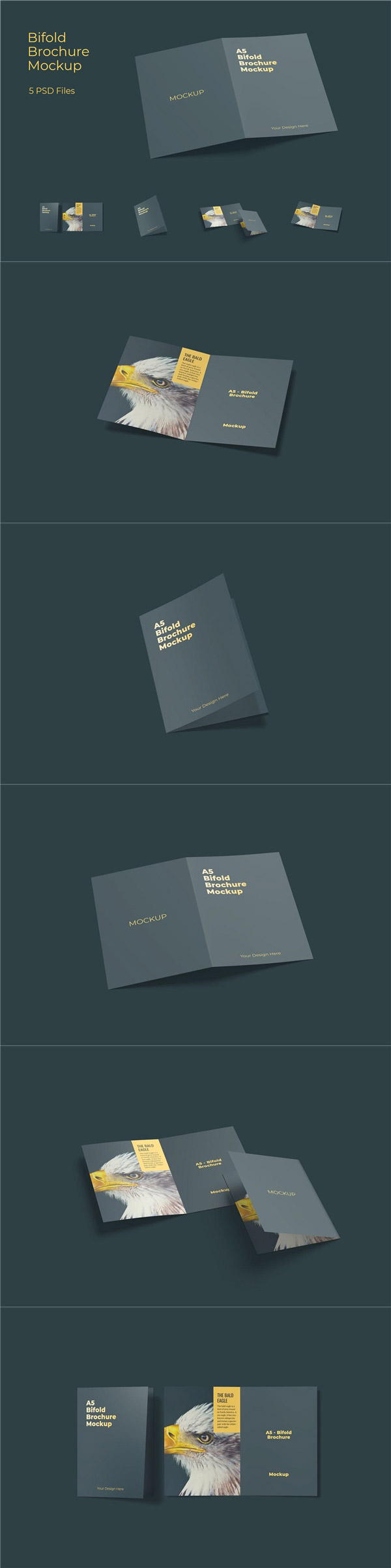 A5˫��С��������