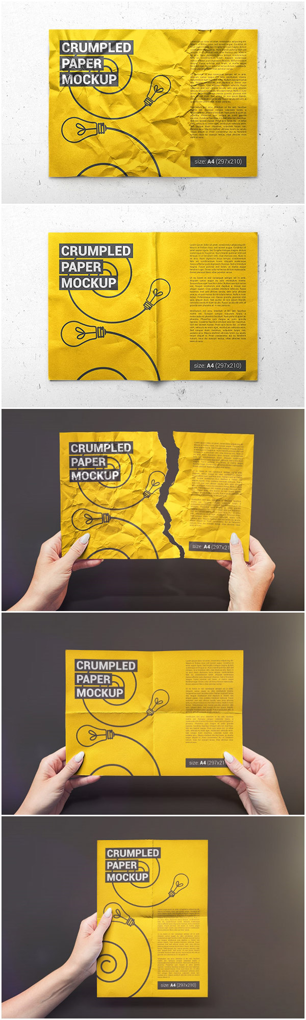 ������˺��ֽ������