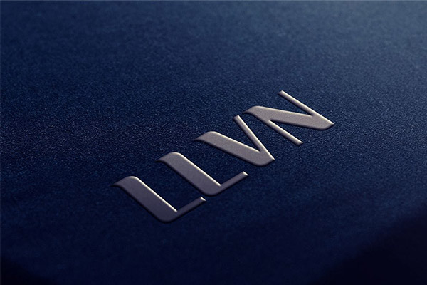 �ݻ�����logo����