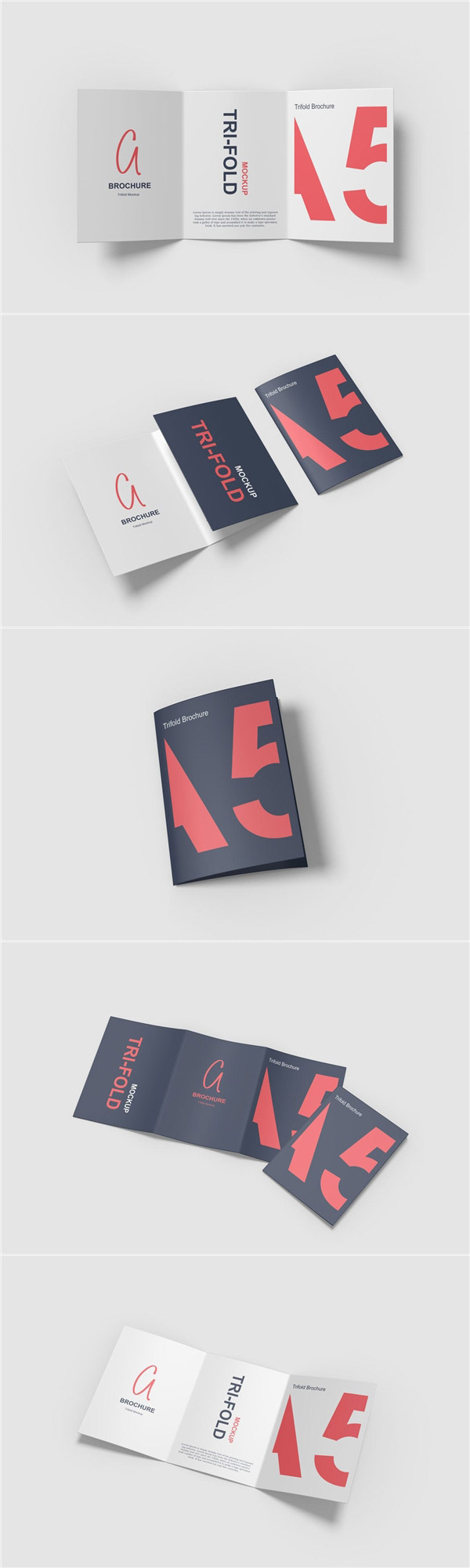 A5����ҳ���չʾ����