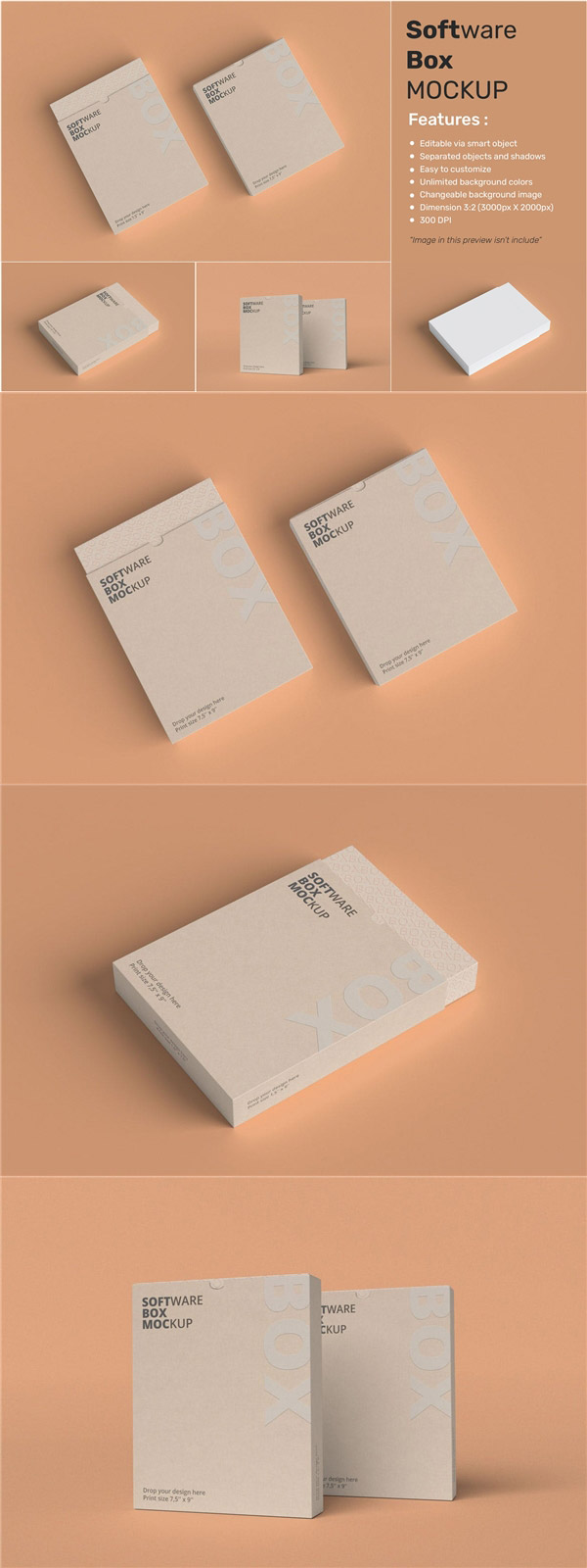 ��װֽ������