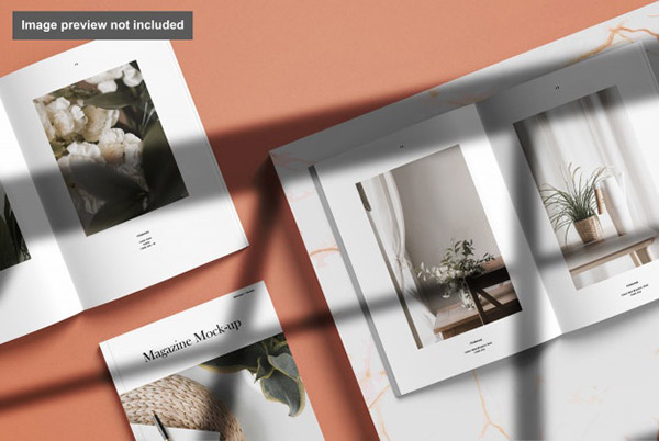 ������Ӱ����ͼ��־�������