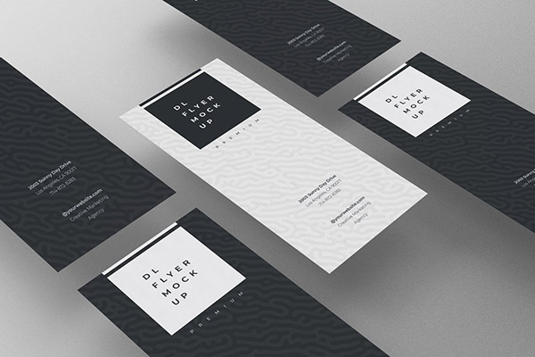 DL�������չʾ����