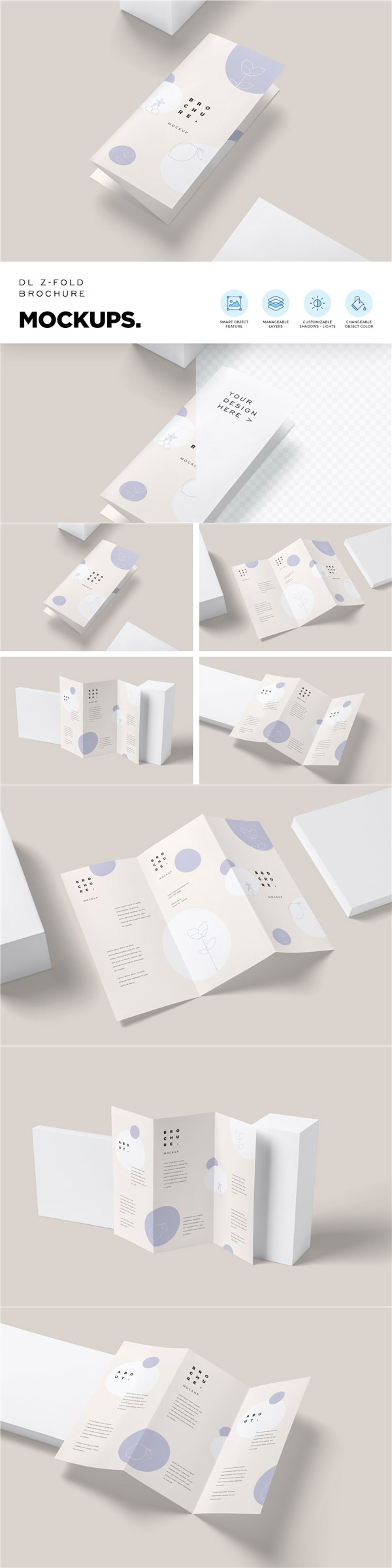 Z�����۵���������