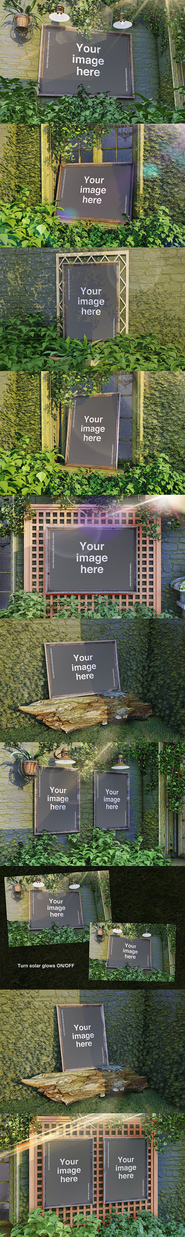 ֲ��ǽ��������ľ������