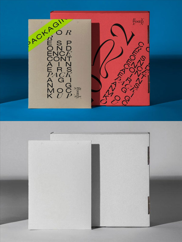 �����ֽ������