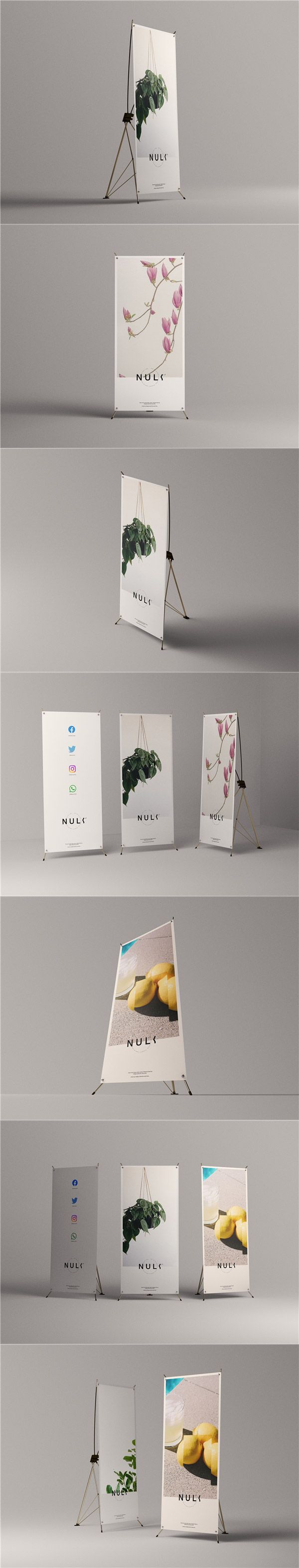 ������Xչ������