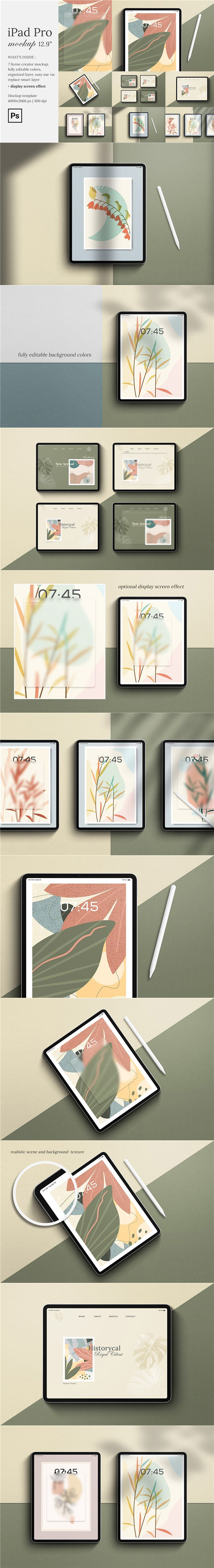 iPadProƽ������