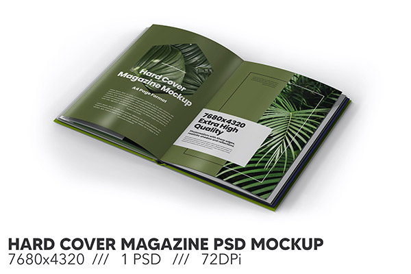 Ӳ������־��ҳ����