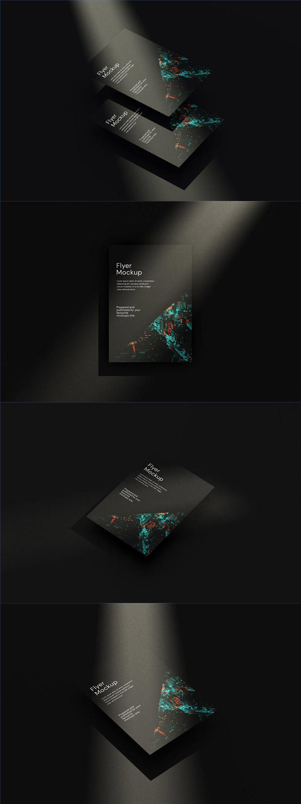 ���ڳ���������������