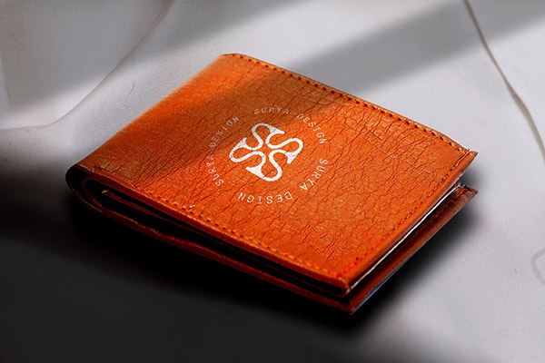 Ƥ��Ǯ����־����