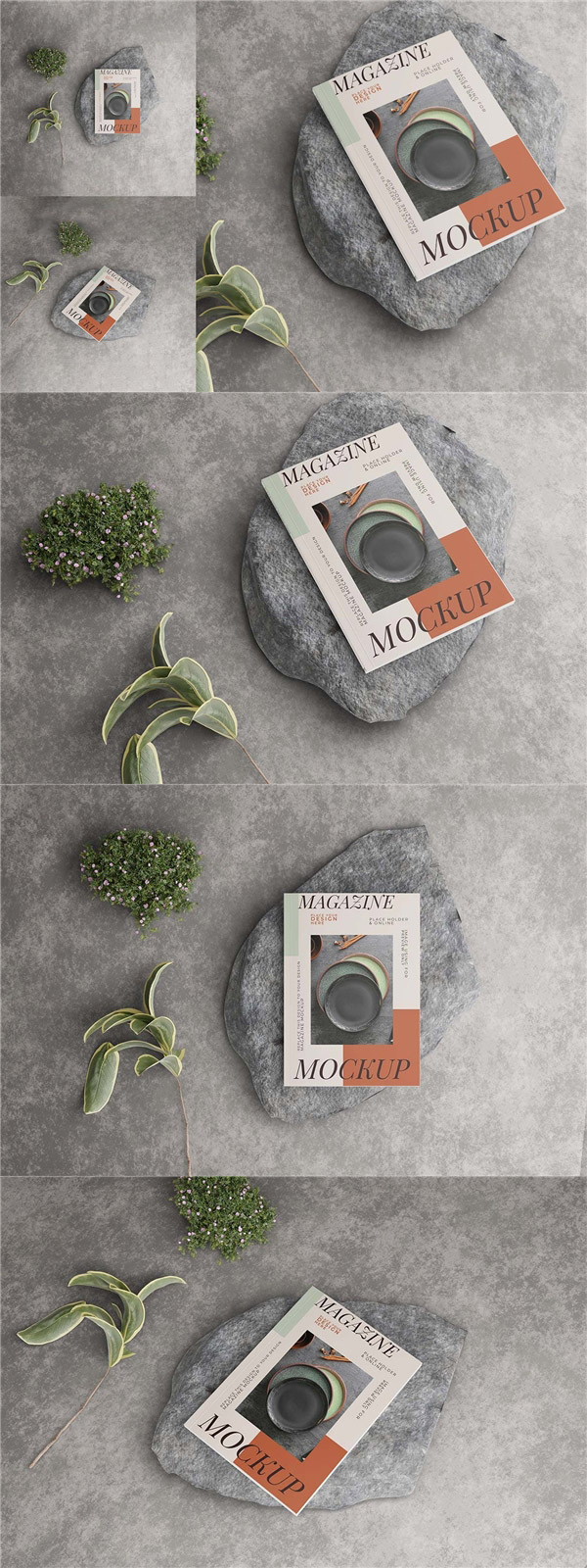 ��־����չʾ����