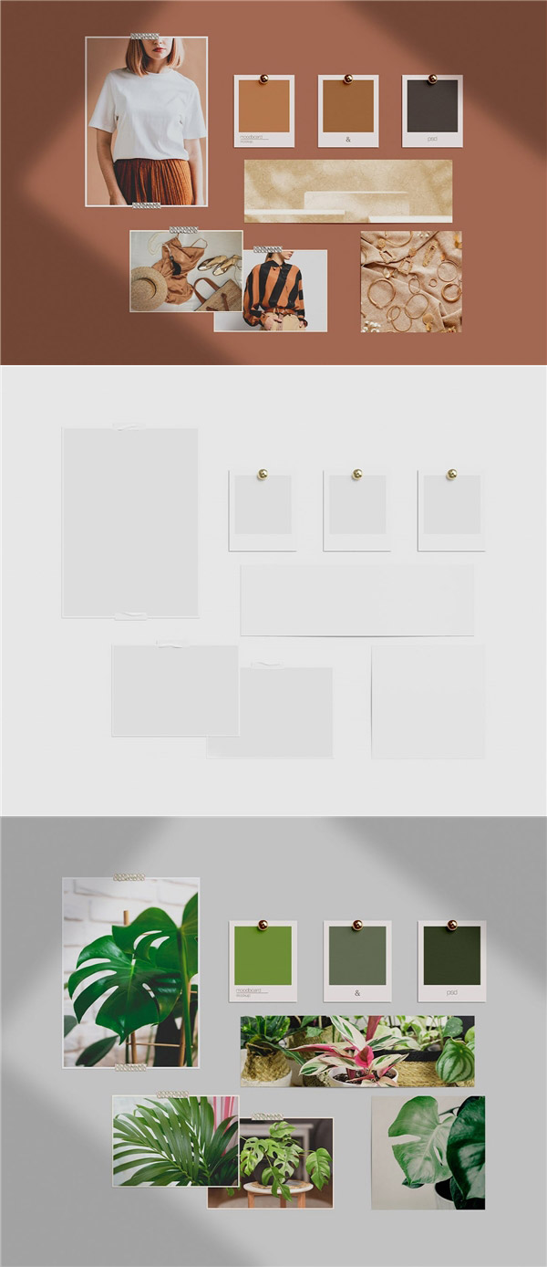 ��������Ƭǽ����