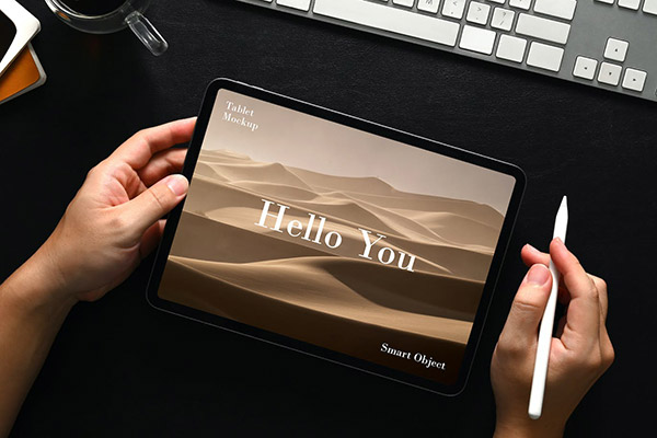 iPadƽ���������