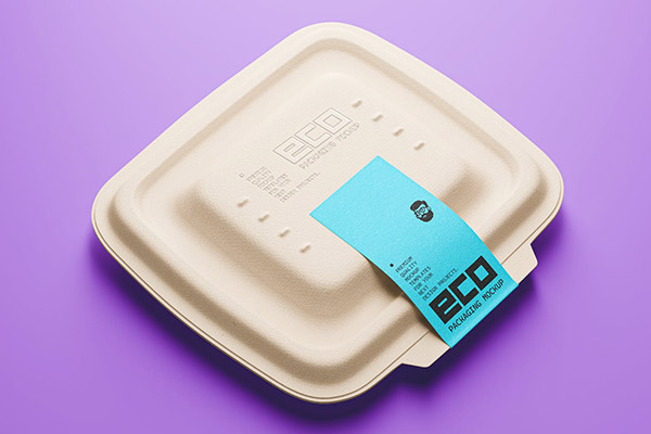 生态食品包装样机