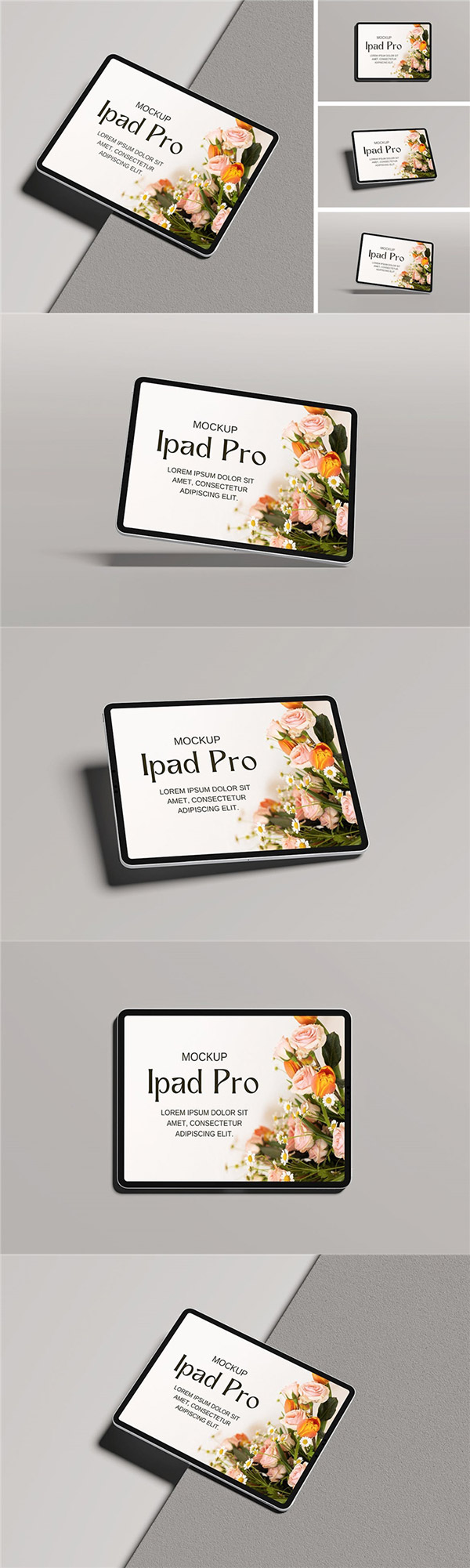 iPadProәC