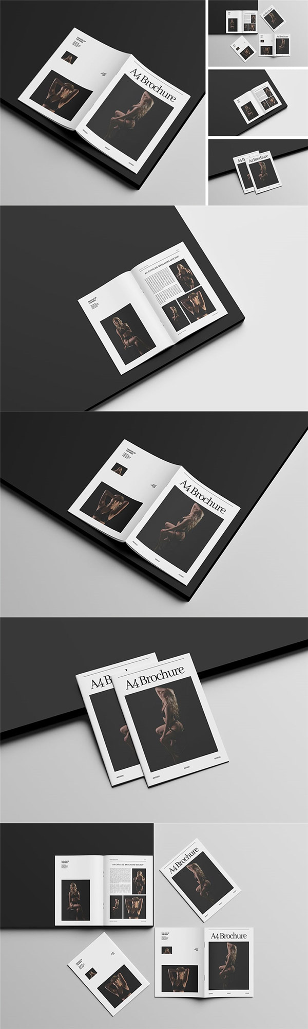 С����Ŀ¼ģ������