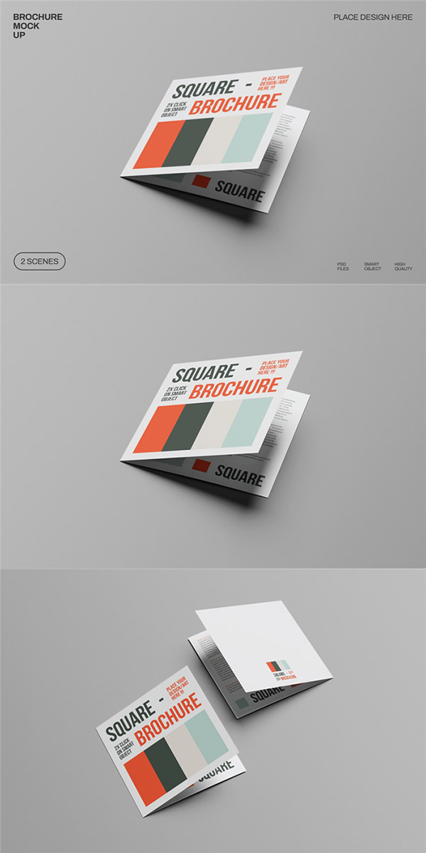 С���ӻ�������