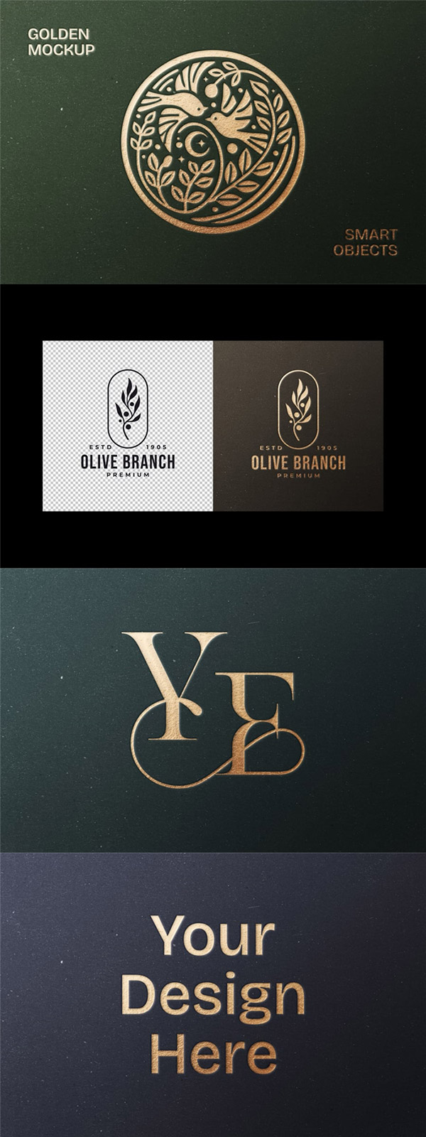 �̽�ձ�ģ������