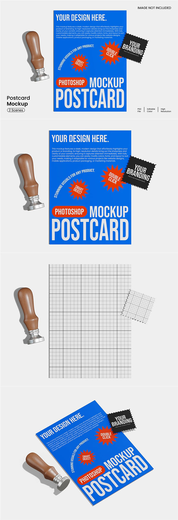 ����Ƭģ������