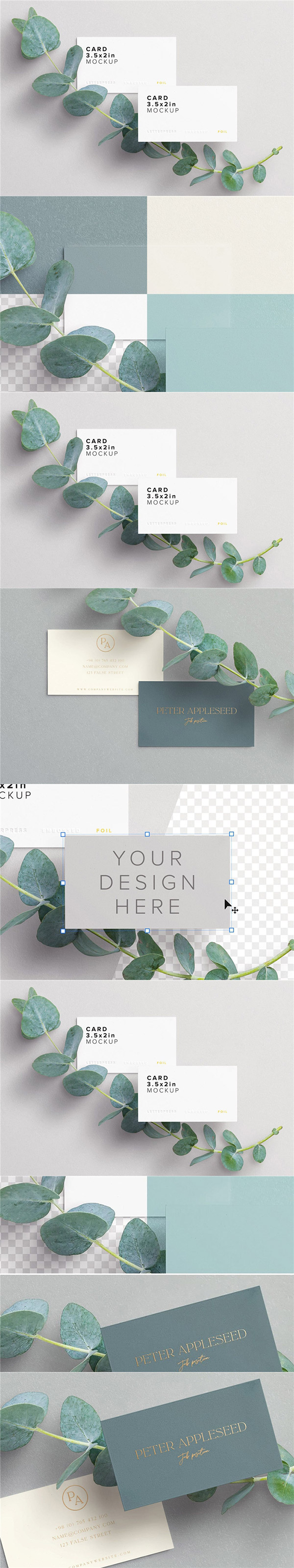 ����������Ƭ����