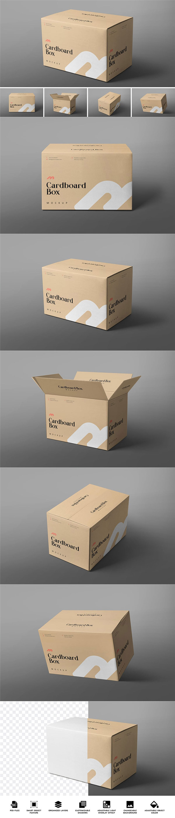 ֽ����ģ������