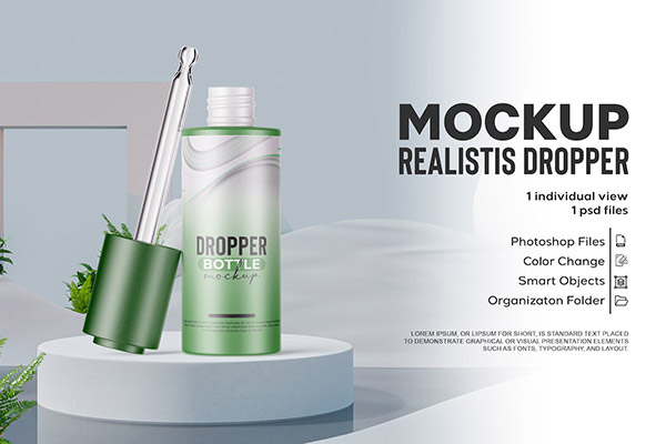 ��ƿģ������