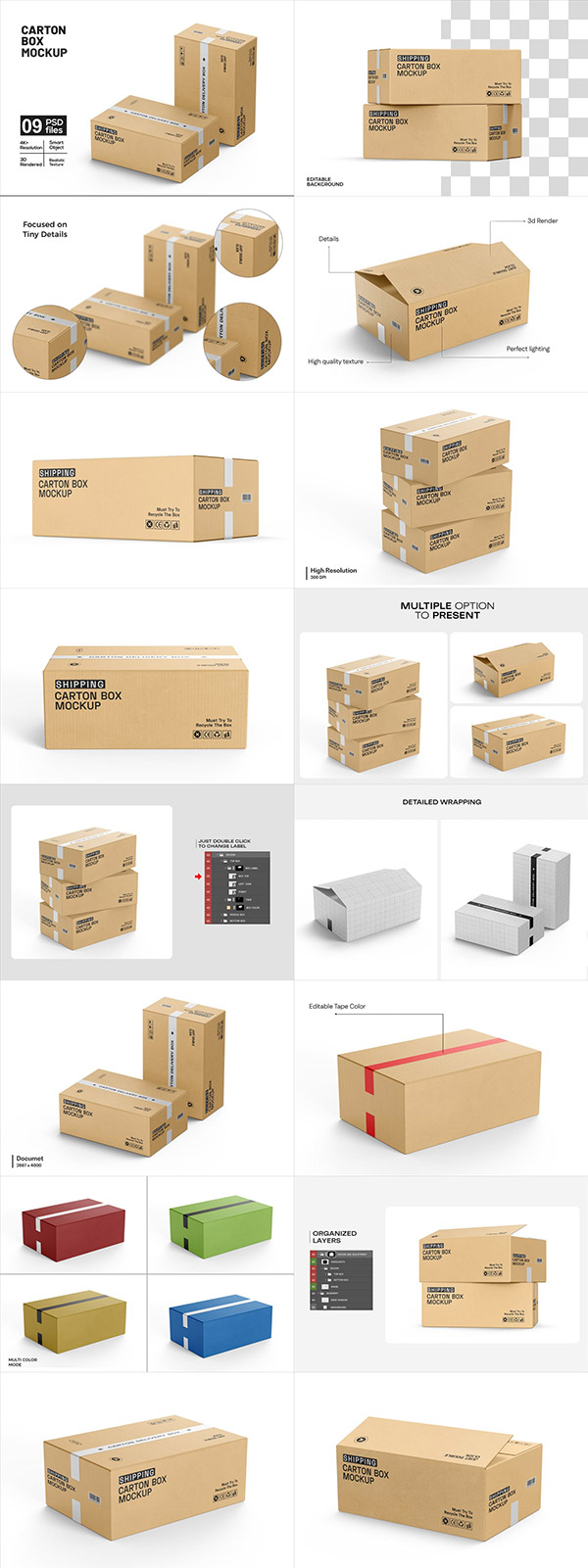 ֽ�������