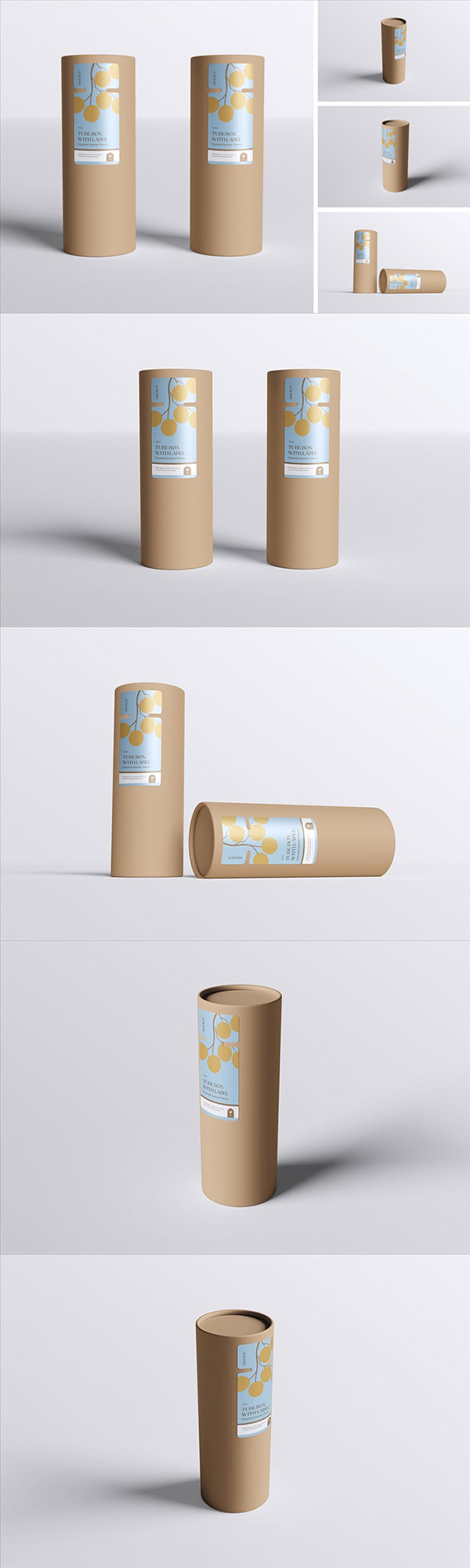 ����ǩģ�͵Ĺܺ�����