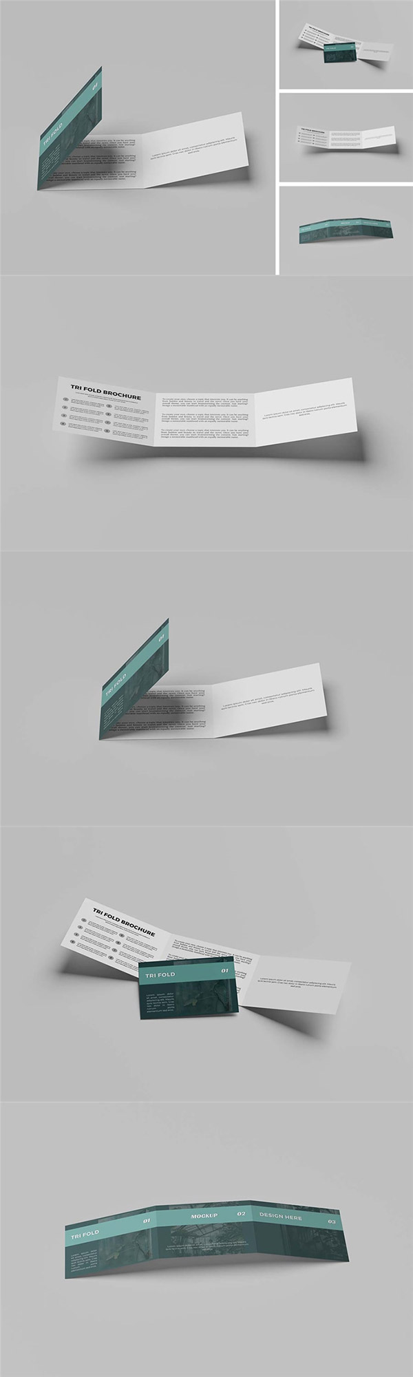 �M�������(y��)������(c��)�әC(j��)