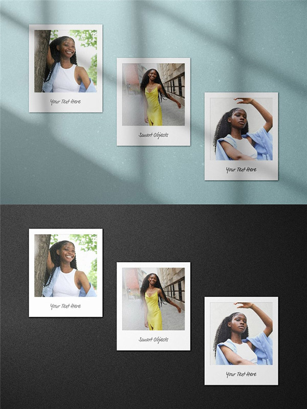 ��������Ƭ����