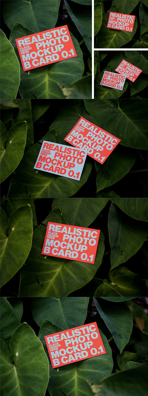 ���|(zh��)����Ƭ�әC