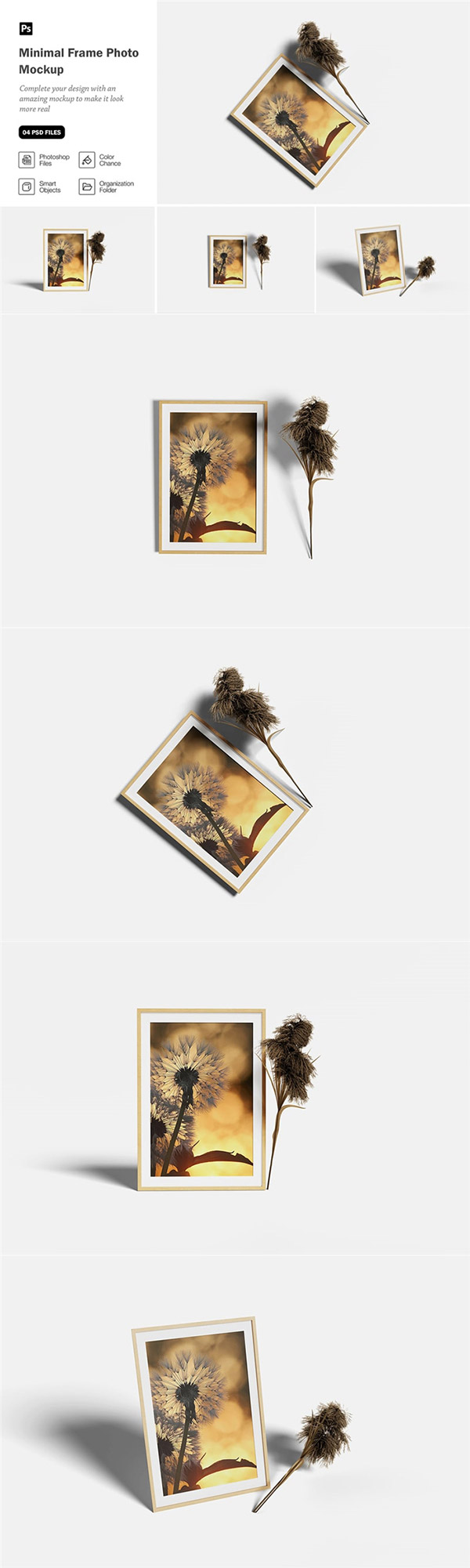 ���������Ƭ����