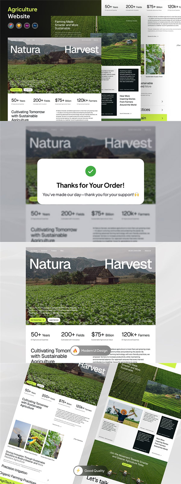 ũҵ��վģ��