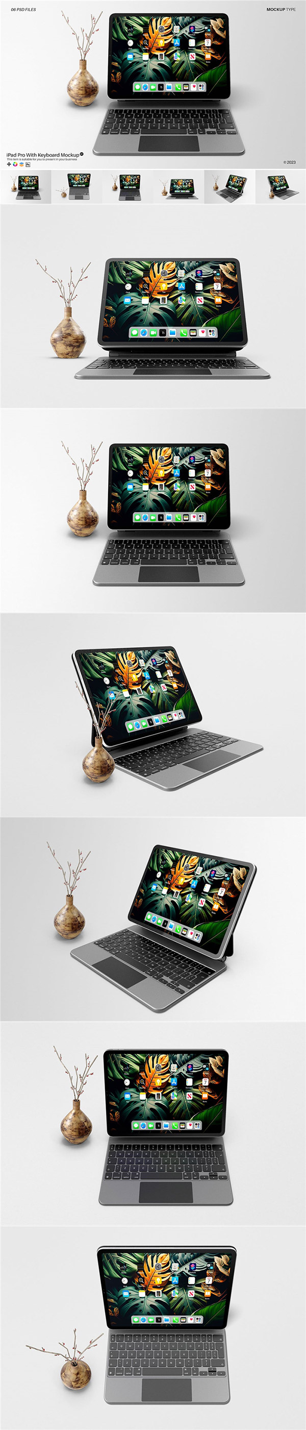 iPadPro����