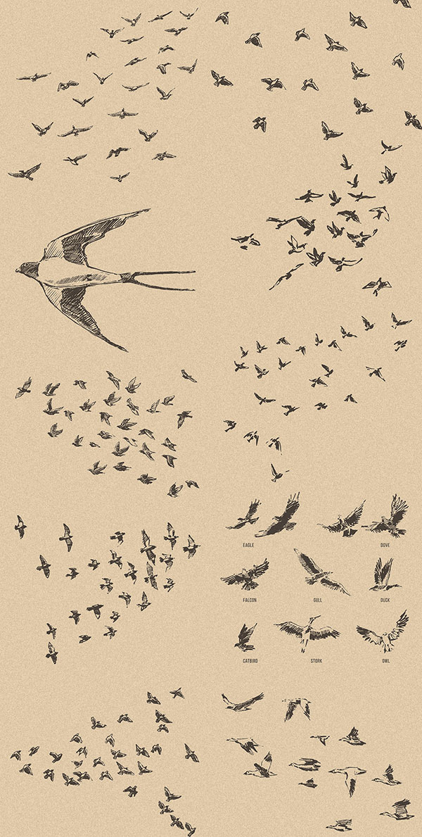 素材分类 元素插画所需点数 10 点 关键词 手绘鸟群图案,手绘,鸟群