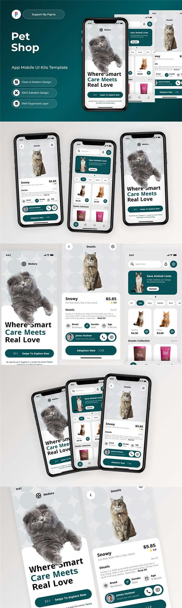 �����APP