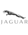 ݱ/Jaguars