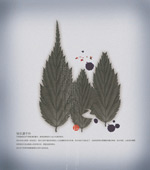 �й������Դ����