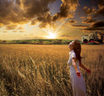 �����µ�����