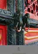 �ŵ�������